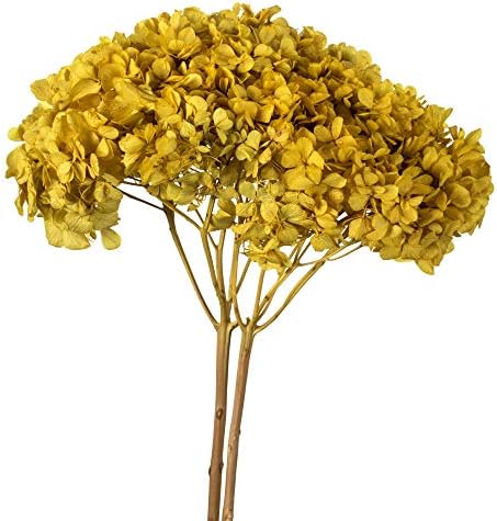 Vickerman Yellow Hydrangea 15 Inch Artificial Flower