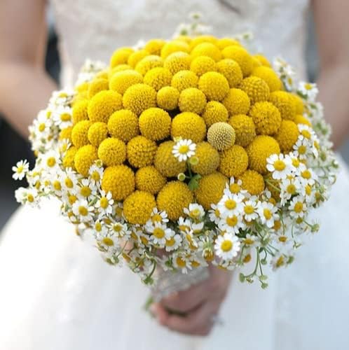 Rikyo 18 Stem Artificial Billy Balls Bouquet 10 Inch Golden Flowers for Home Decor