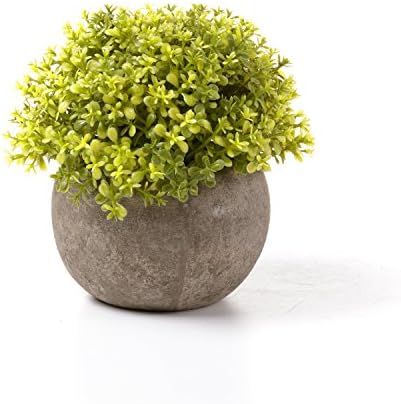T4U Artificial Succulent Plants in Pots Set of 6