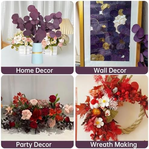 Preserved Dried Eucalyptus Stems for Vase Decor and Home Decor