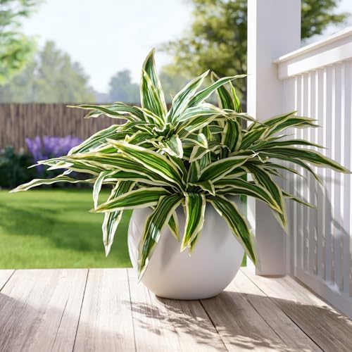 Yarmare 4 Pcs Artificial Dracaena Stems Greenery Plant Realistic Fake Leaves for Home Decor
