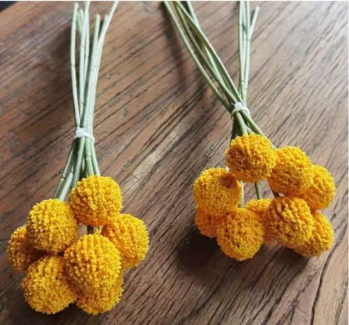 Rikyo 18 Stem Artificial Billy Balls Bouquet 10 Inch Golden Flowers for Home Decor