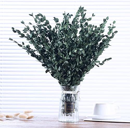 Tavkite Dried Eucalyptus Garland Stems 4 Oz Bundle