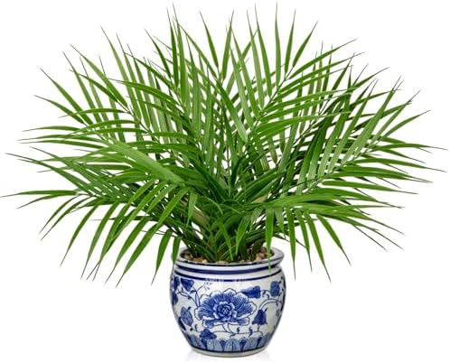 Hollyone Artificial Potted Palm Plants 16 Inch Tropical Fake Green Plant for Indoor Decor