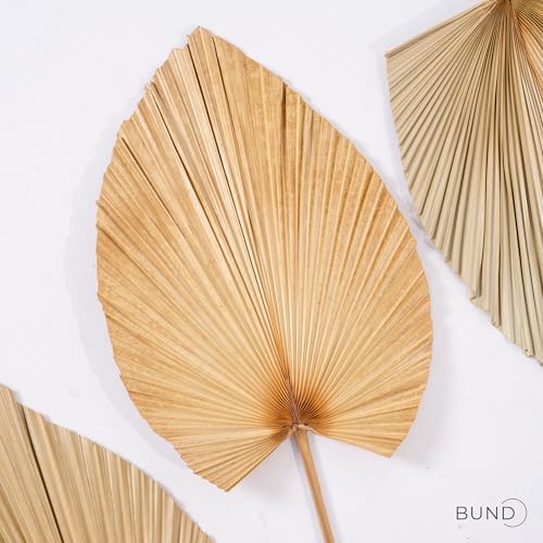 3Pcs Large Dried Palm Leaves Decor Fans Boho Wedding Table Decor