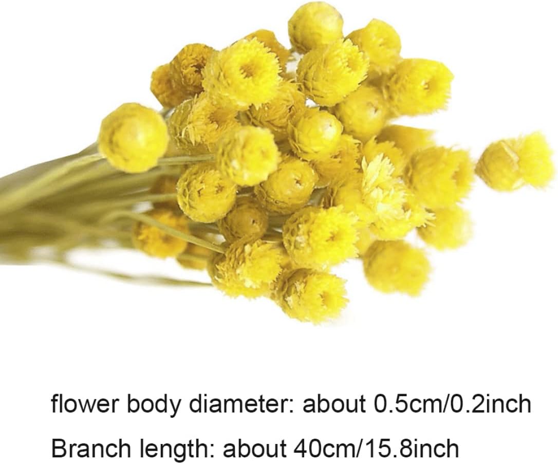 Yellow Dried Daisy Bouquet for Home Decor