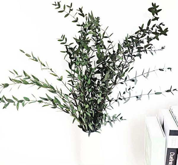 Tavkite Dried Eucalyptus Garland Stems 4 Oz Bundle
