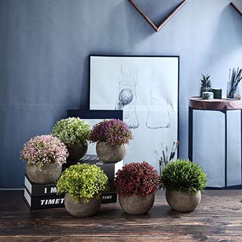 T4U Artificial Succulent Plants in Pots Set of 6