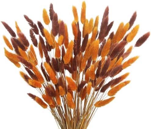 CISDUEO 120pcs Dried Bunny Tails Flowers for Boho Decor Wedding DIY