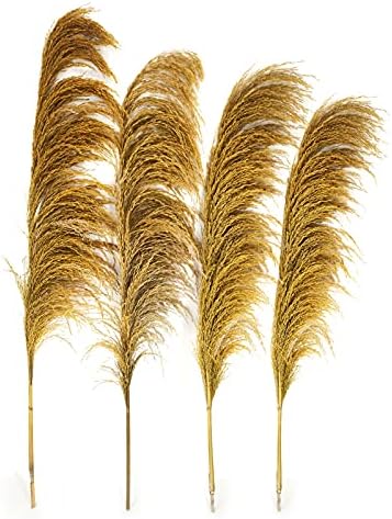 Gold Yellow Pampas Grass 4Pcs Rustic Decor for Living Room