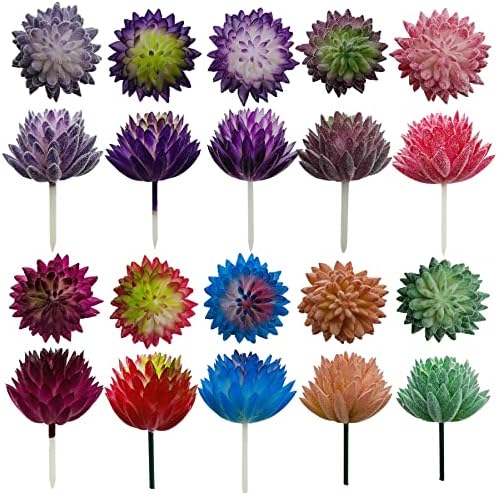 Cayway 10 Pcs Artificial Succulent Plants Mixed Color Picks for Indoor and Outdoor Decor