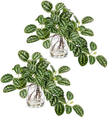 Artificial Watermelon Peperomia Stems in Glass Vase