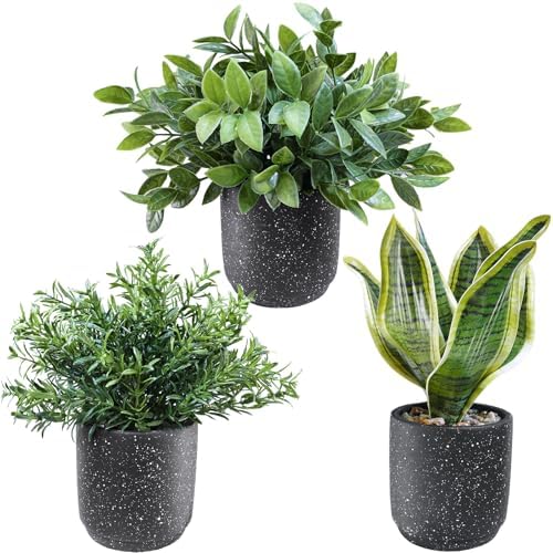 Winlyn 3 Pack Artificial Plants in Black Cement Pots