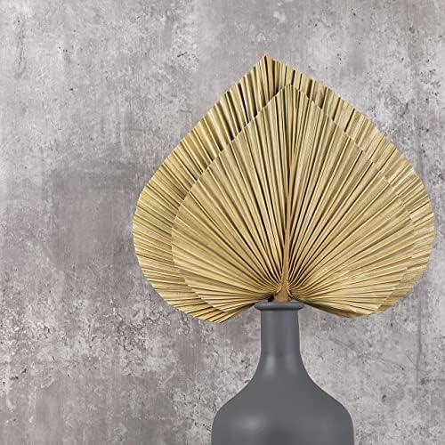 6pcs Natural Trimmed Dried Palm Leaves for Decor