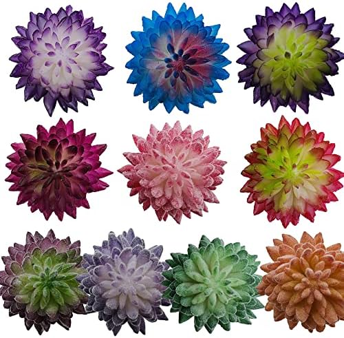 Cayway 10 Pcs Artificial Succulent Plants Mixed Color Picks for Indoor and Outdoor Decor