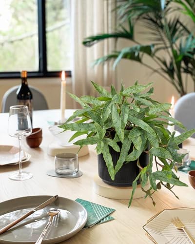 Briful Artificial Fern Plant 9 Indoor 2 Pack