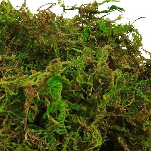 BYHER Artificial Moss for Indoor Plants 16OZ Green Faux Moss