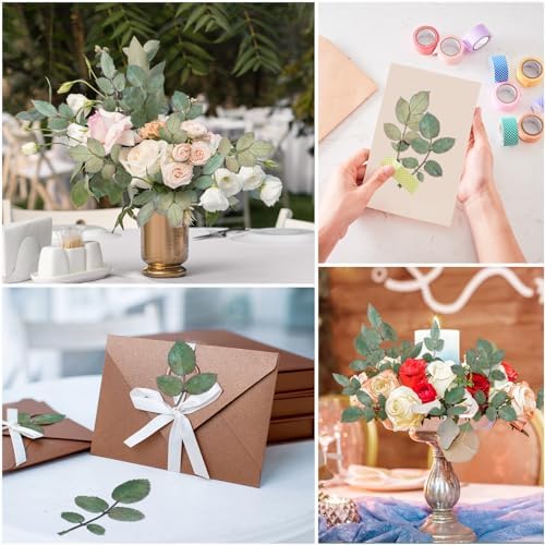 Fabbay 200 Pcs Dried Green Leaves for Resin Art and Home Decor