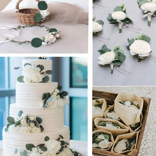 200 Pcs Real Dried Eucalyptus Leaves Natural Decor for Wedding and Party