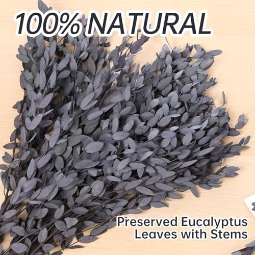 Skalago Dried Eucalyptus Leaves Garlands for Home Decor