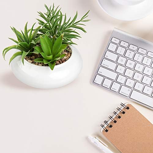 Hollyone Realistic Artificial Succulent Plants with White Ceramic Pot for Home Decor