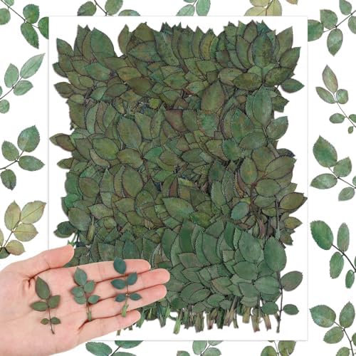 Fabbay 200 Pcs Dried Green Leaves for Resin Art and Home Decor