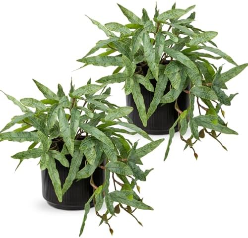 Briful Artificial Fern Plant 9 Indoor 2 Pack