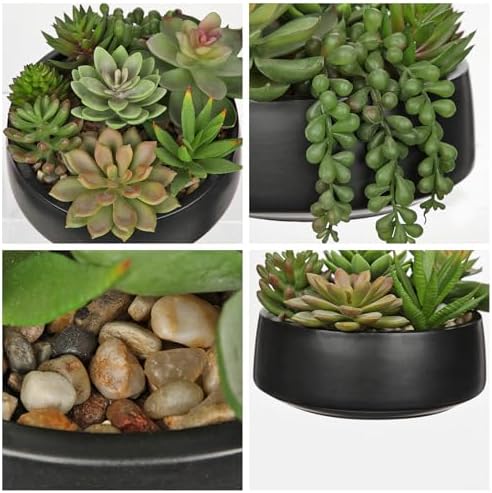 DILATATA Artificial Succulent Plants in Black Ceramic Pot