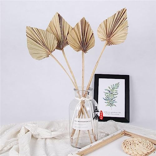 Comtelek Dried Palm Leaves 10pcs Boho Decor