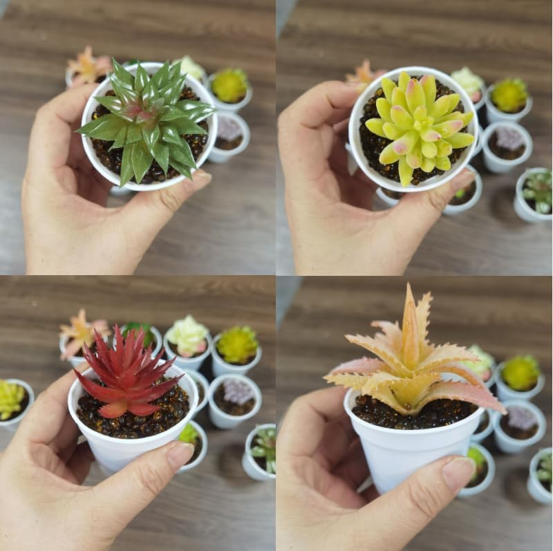 24 Piece Multicolour Artificial Succulent Set