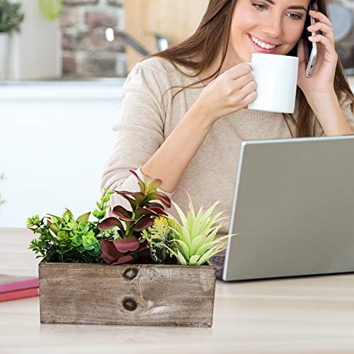 Hopewood Artificial Succulent Plants in Wooden Planter Box