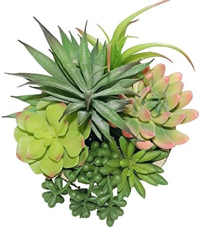 Hisow Artificial Succulent Plants in Ceramic Pots Assorted Decor