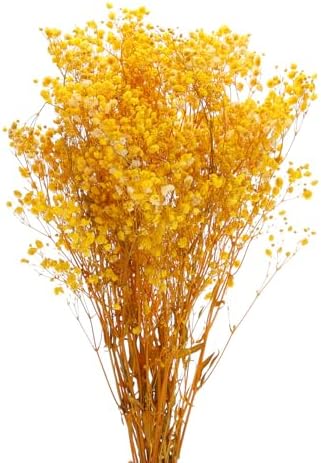 MECCANIXITY Dried Yellow Babys Breath Flowers 17 Inch Branches for Wedding Home Decor