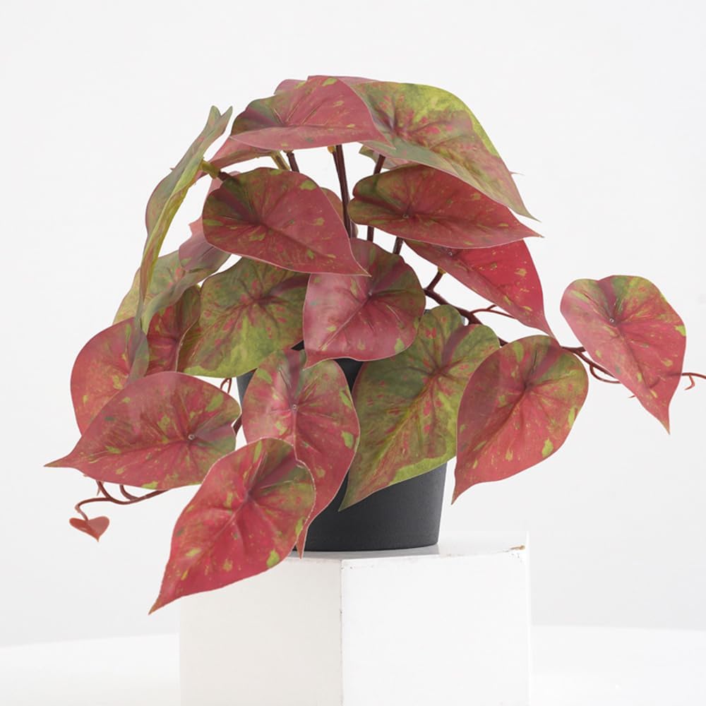 Doment Artificial Red Caladium Plants Indoor 7 Inches Potted Decor