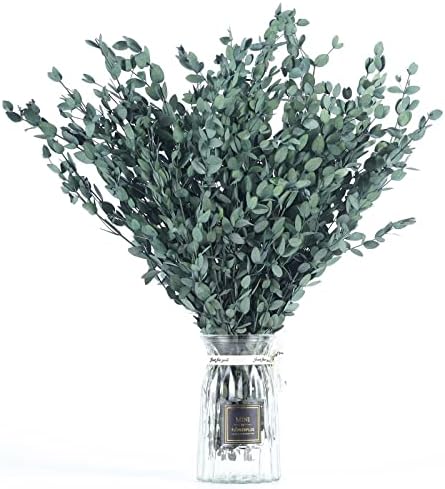 Tavkite Dried Eucalyptus Garland Stems 4 Oz Bundle