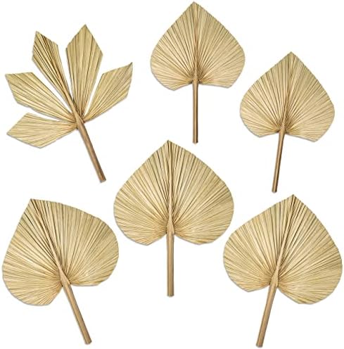 6pcs Natural Trimmed Dried Palm Leaves for Decor