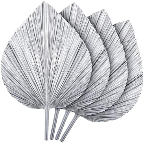 4 Pcs Large Silver Dried Palm Leaves Boho Decor
