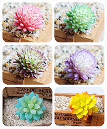 Zhiheng 11PCS Assorted Multicolor Artificial Succulent Plants