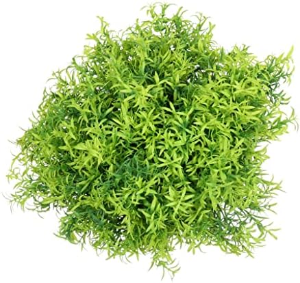 Grand Verde Asparagus Artificial Plants Set of 10