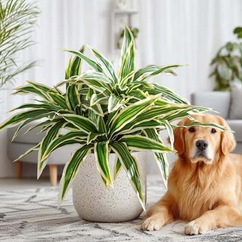 Yarmare 4 Pcs Artificial Dracaena Stems Greenery Plant Realistic Fake Leaves for Home Decor