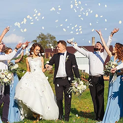 Artificial Ivory White Rose Petals 300pcs Reusable Silk Petals for Wedding Decor