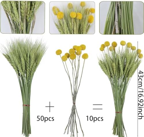 CISDUEO 60 Pcs Natural Dried Wheat Stalks Bundle
