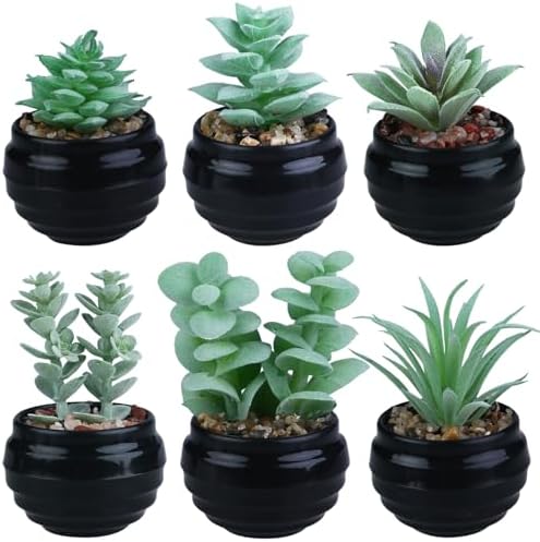 GREENTIME 6 Pcs Artificial Succulent Plants Set