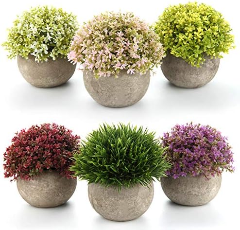 T4U Artificial Succulent Plants in Pots Set of 6