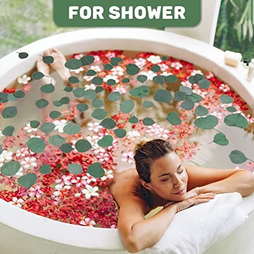 300PCS Real Eucalyptus Leaves for Shower Decor