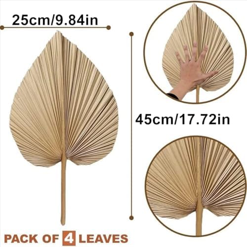 4PCS Dried Palm Leaf Decor for Vase Wedding Office Home