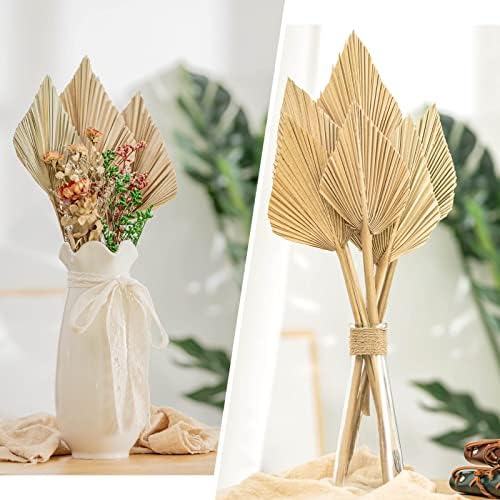 CLESDF Boho Palm Spears and Fans 16 Inch 6pcs