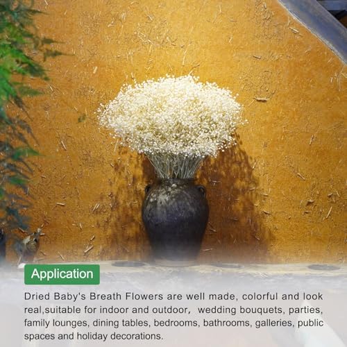 MECCANIXITY Dried Yellow Babys Breath Flowers 17 Inch Branches for Wedding Home Decor