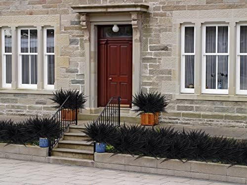 RECUTMS 6Pcs Artificial Boston Fern Plants Black UV Resistant Outdoor Indoor Decor