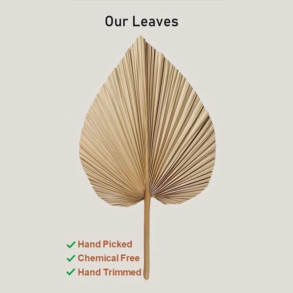 4PCS Dried Palm Leaf Decor for Vase Wedding Office Home